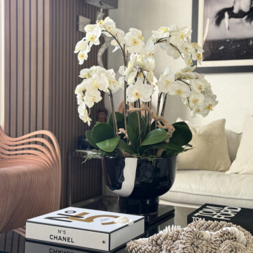 Orquídeas Brancas em Vaso Kempff Bowl