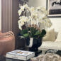 Orquídeas Brancas em Vaso Kempff Bowl