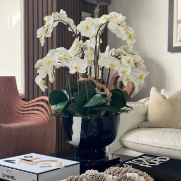 Orquídeas Brancas em Vaso Kempff Bowl