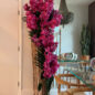 Vaso Grande de Teca Live Edge com Orquídeas Vanda Rosas