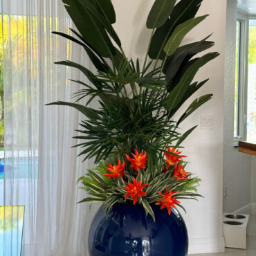 Mix de Plantas Tropicais em Vaso Globo Azul Cobalto