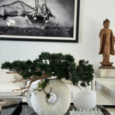 Vaso Eternity Médio com Árvore Bonsai Pendente e Driftwood
