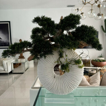 Vaso Eternity Grande com Bonsai Pendente e Driftwood