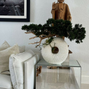 Vaso Eternity Médio com Árvore Bonsai Pendente e Driftwood