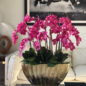 Vaso Vivien Dourado com Orquídeas Phalaenopsis Rosas