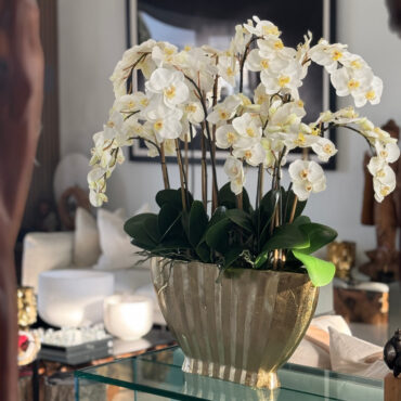 Vaso Vivien Dourado com Orquídeas Phalaenopsis Brancas