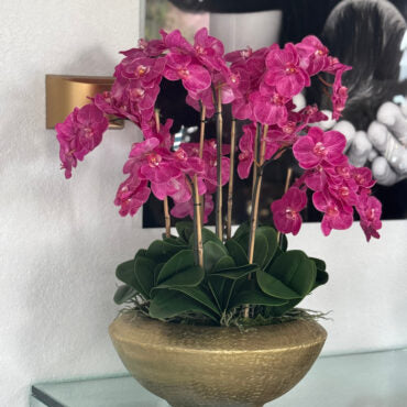 Vaso Blaze Bowl com Orquídeas Phalaenopsis Rosas