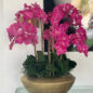 Vaso Blaze Bowl com Orquídeas Phalaenopsis Rosas