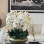 Vaso Blaze Bowl com Orquídeas Phalaenopsis Brancas