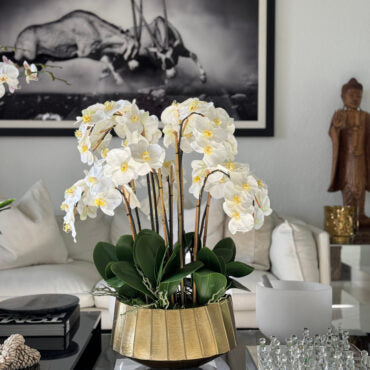 Vaso Helena Boat com Orquídeas Phalaenopsis Brancas