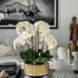 Vaso Helena Boat com Orquídeas Phalaenopsis Brancas