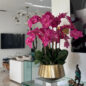 Vaso Helena Boat com Orquídeas Phalaenopsis Rosas