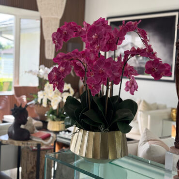 Vaso Helena Boat com Orquídeas Phalaenopsis Rosas