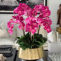 Vaso Helena Boat com Orquídeas Phalaenopsis Rosas