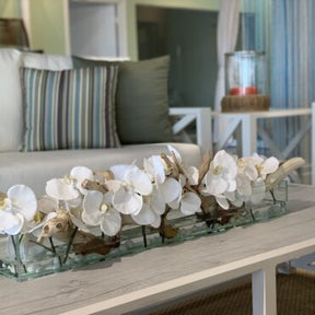 Cachepô de vidro  Casa Moderna com Orquídeas Phalaenopsis Brancas
