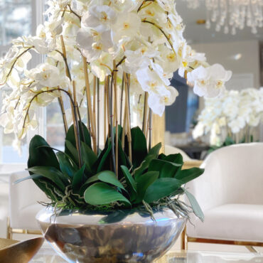 Tigela Avenue com Orquídeas Phalaenopsis Brancas