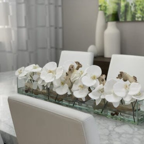 Cachepô de vidro  Casa Moderna com Orquídeas Phalaenopsis Brancas